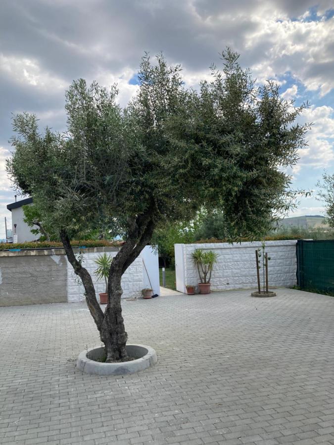 Villa Mater Matera Eksteriør billede
